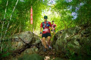 BIB: 
                            <button type="button" onclick="openModal(22087880)" class="btn btn-primary btn-sm float-right btn-popup" data-toggle="modal" data-target=".modal-high-quality">
                        <i class="fas fa-shopping-cart"></i> Add to Cart
                    </button>
                                            <button type="button" onclick="isThisMe(22087880, true)" class="btn btn-success btn-sm float-right btn-popup btn-isme hidden" data-toggle="tooltip" data-placement="bottom" title="นี่คือรูปของคุณใช่ไหม คลิกที่นี่เพื่อเอาเข้าอัลบั้ม">
                        <i class="fas fa-plus"></i> Add to album
                    </button>
                    <button type="button" onclick="isThisMe(22087880, false)" class="btn btn-warning btn-sm float-right btn-popup btn-isnotme hidden">
                        <i class="fas fa-ban"></i> Remove from album
                    </button>